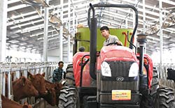 吸納人員到上下游企業(yè)就業(yè)-248.jpg