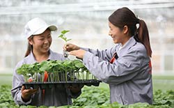 吸納人員到上下游企業(yè)就業(yè).1-248.jpg
