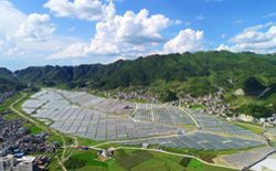 東光村現(xiàn)代農(nóng)業(yè)產(chǎn)業(yè)園.jpg